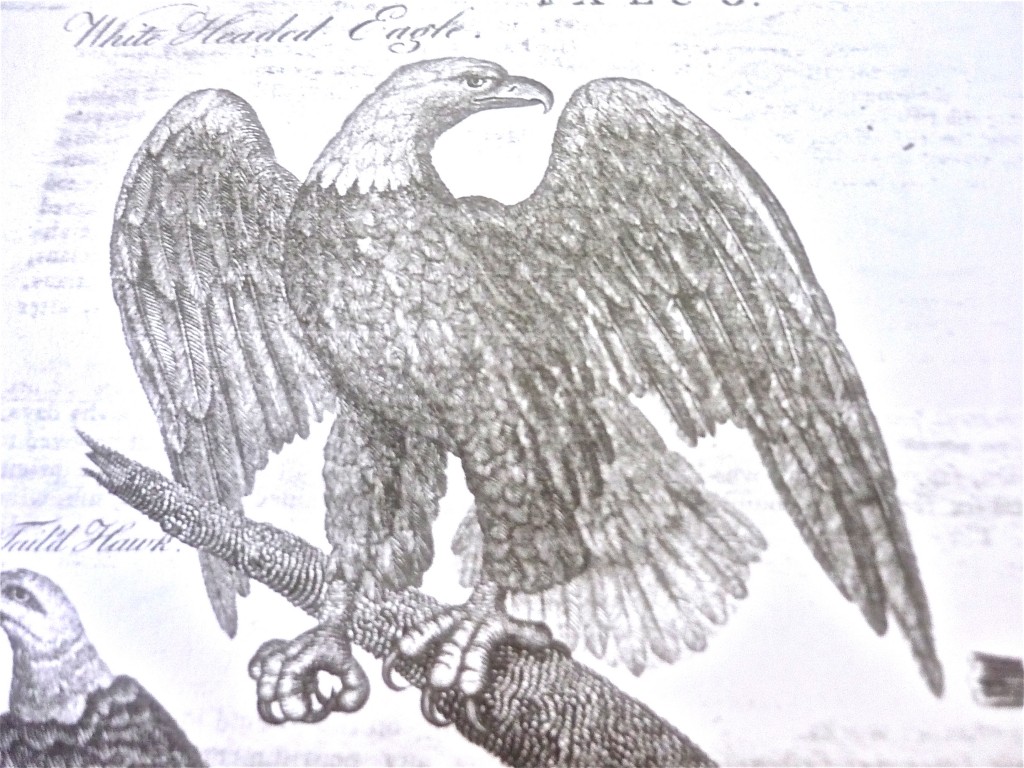1792 Robert Scot Master Piece Eagle RJ Silversteins georgewashingtoninauguralbuttons.com O