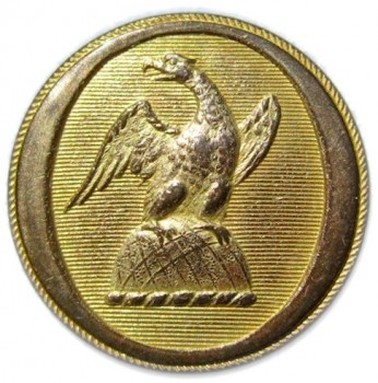1830-40's New York State Militia 23mm Gilt Brass georgewashingtoninauguralbuttons.com O