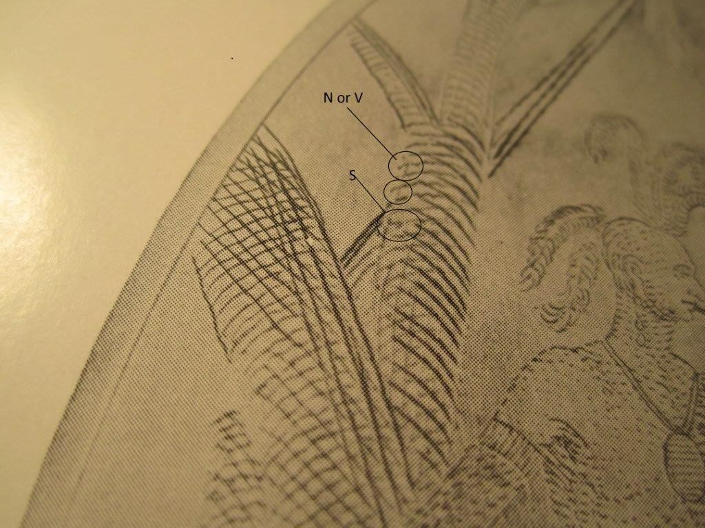 N or V plus S markers mark